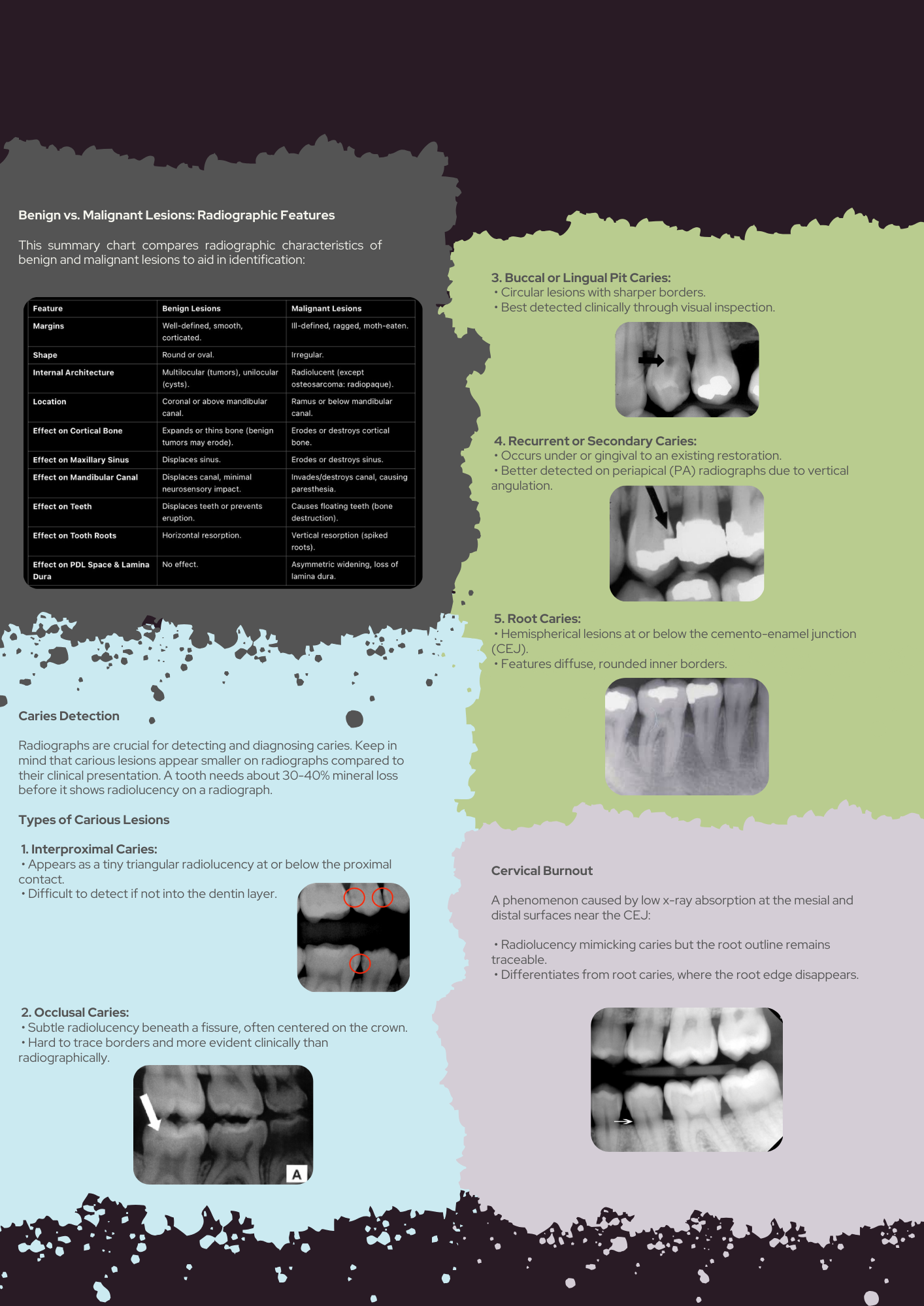 Oral Radiology Full Guide PDF