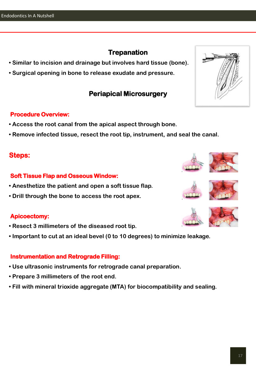 Endodontics In A Nutshell. PDF