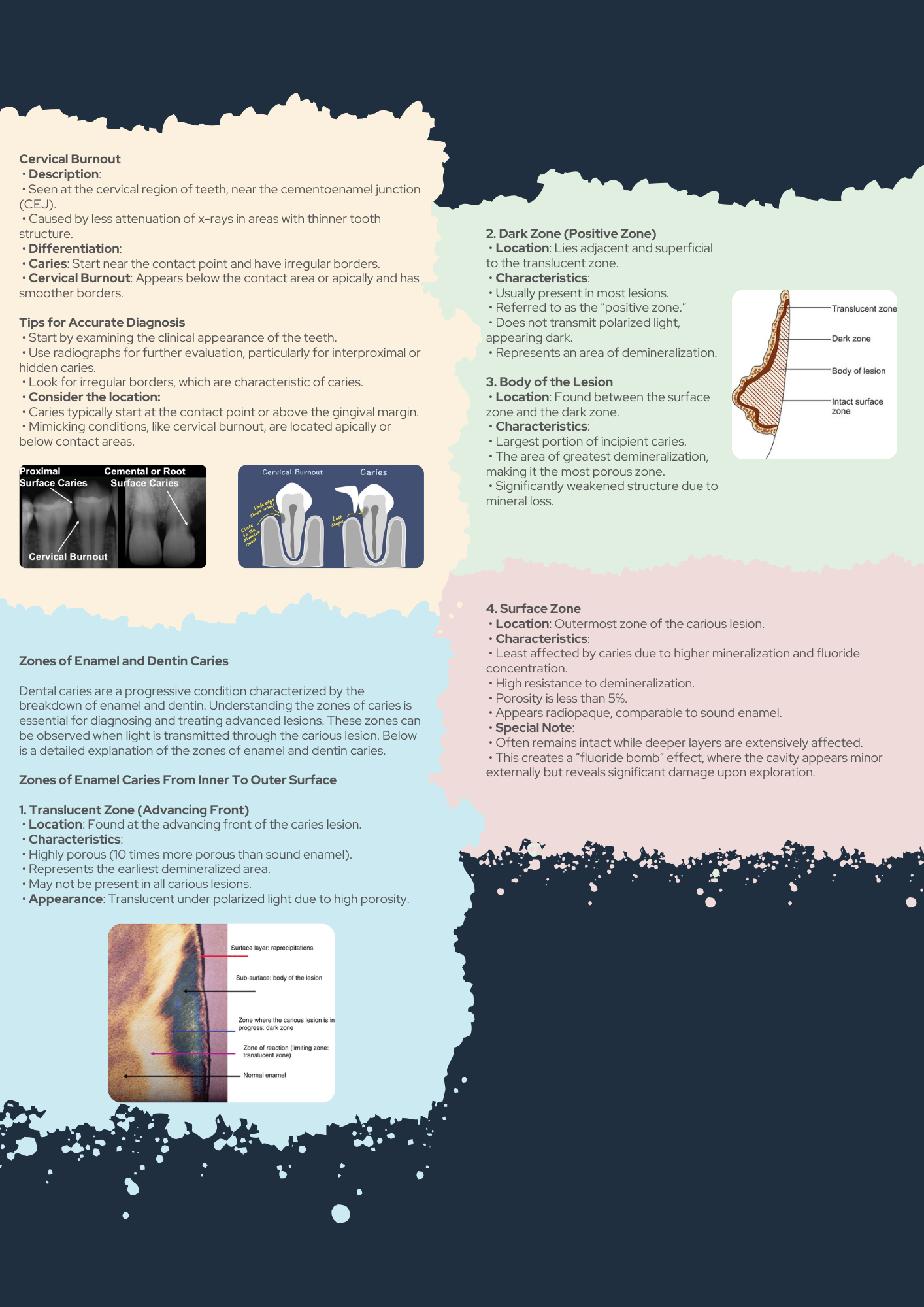 Operative Dentistry Guide PDF