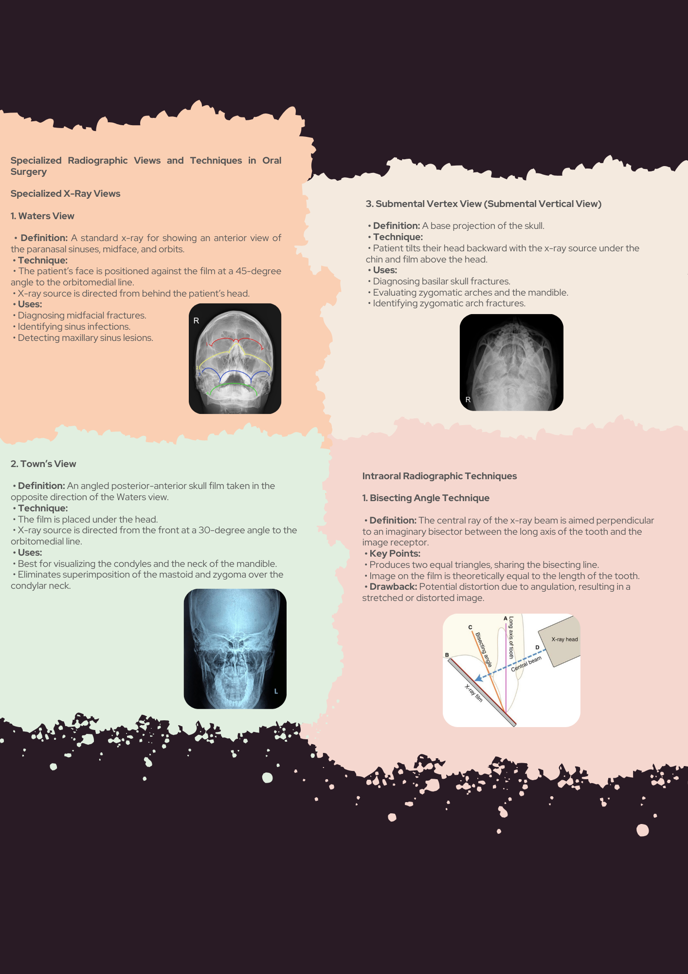 In-Depth PDF Guides, Clinical Mock Tests, Flashcards & More!