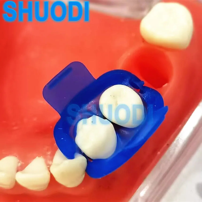 Dental Rubber Dam Clamps Holder - Autoclavable Silicon Clips