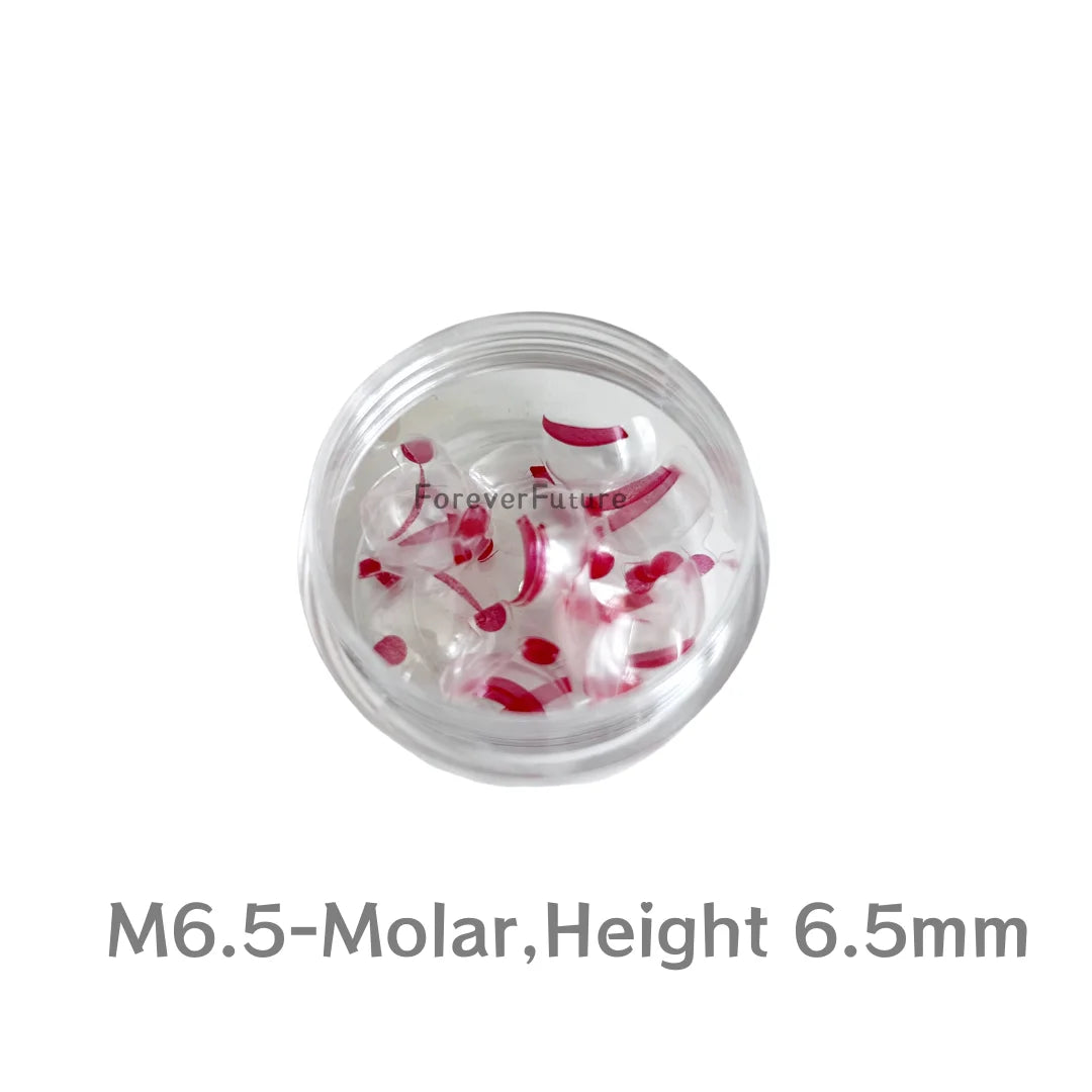 Bioclear Anterior/Posterior Transparent Matrix