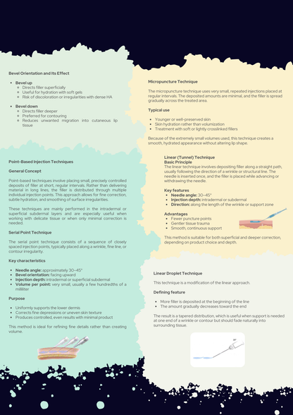 Aesthetic Lip Injections Complete Guidebook PDF