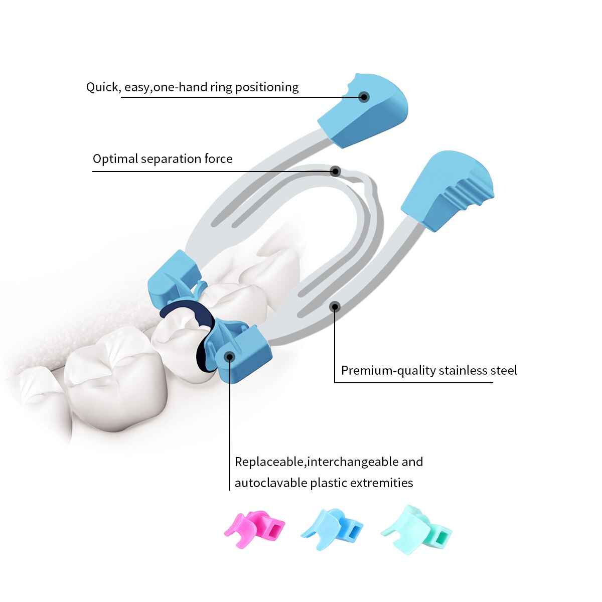 Dental Matrix Sectional Contoured Metal Spring Clip Rings Clamps Wedges.