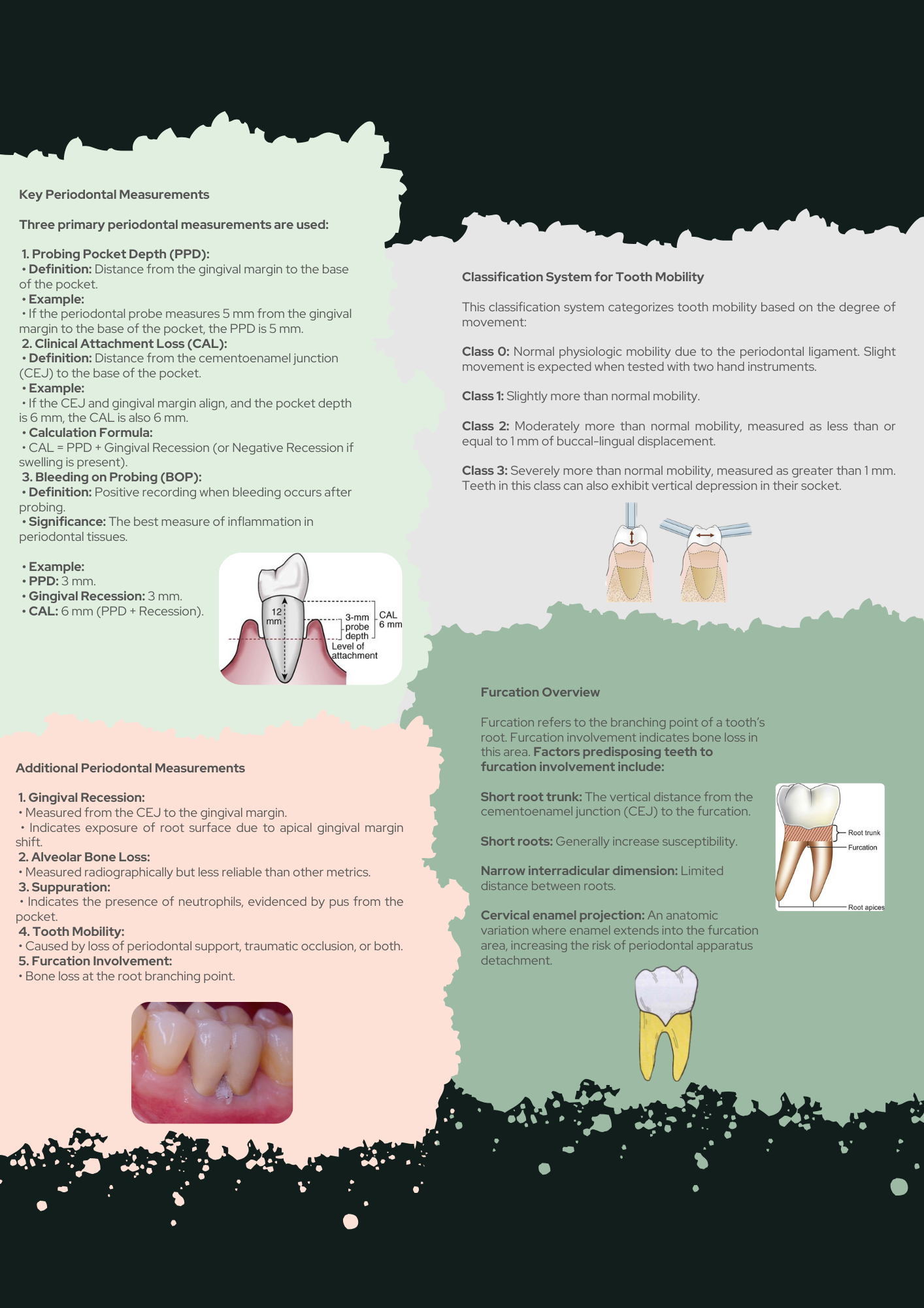 Periodontics Full Guide PDF