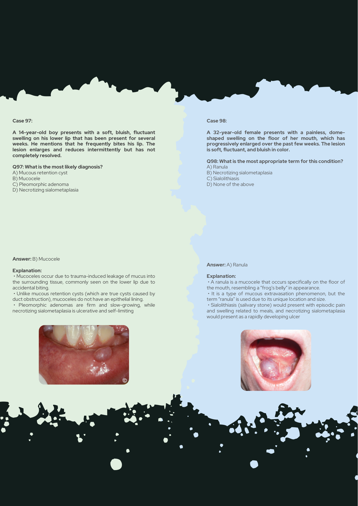 In-Depth PDF Guides, Clinical Mock Tests, Flashcards & More!