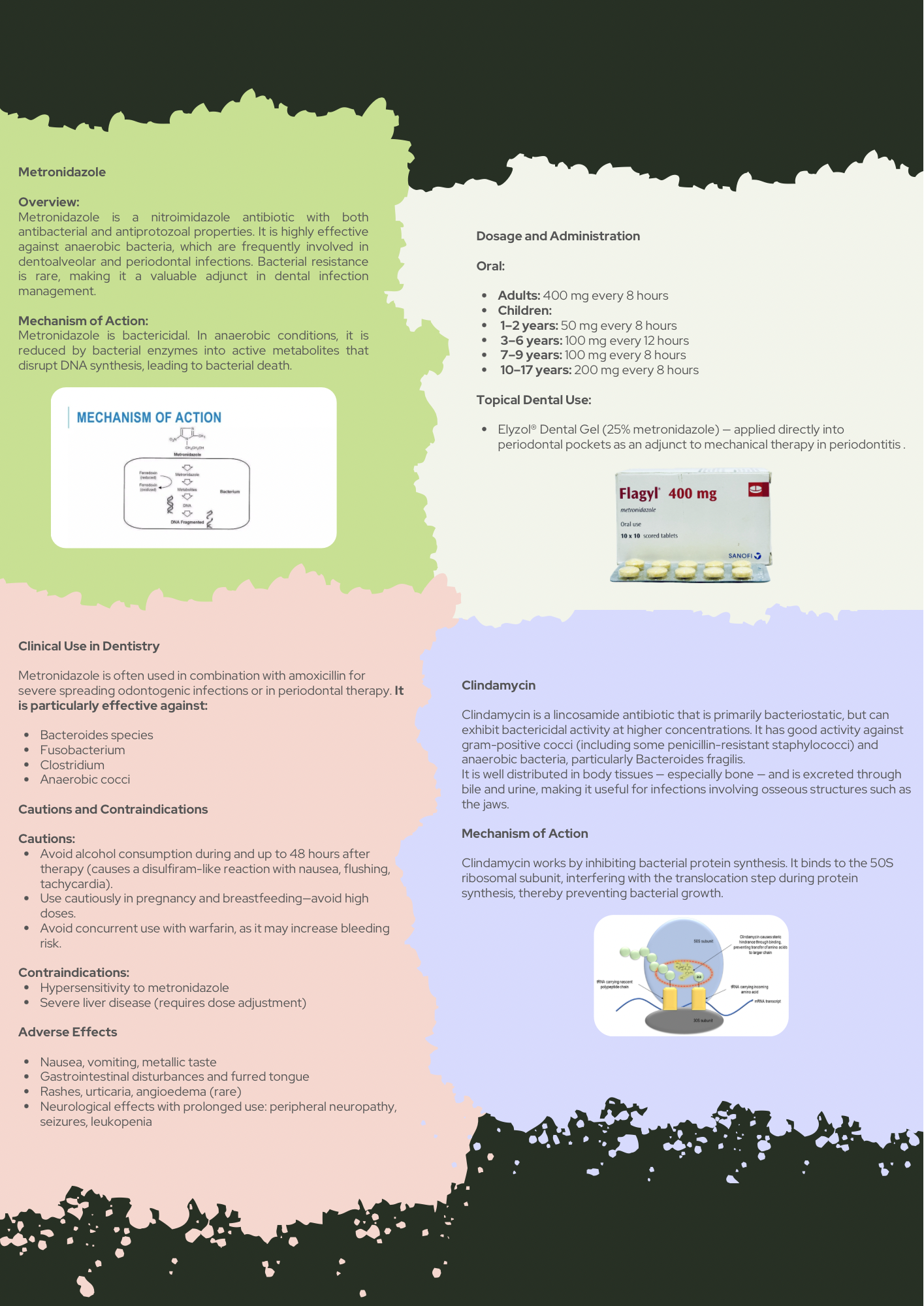 Dental PDF Guides, Video Lectures, MCQs,& Mock Tests!